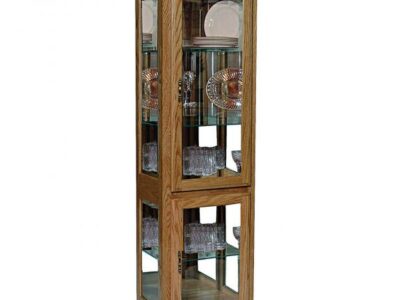251 single wide curio
