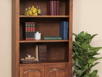 Henry Stephen's Bookcase