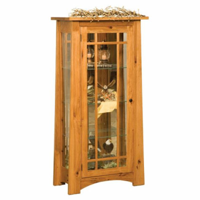 Modesto Curio Cabinet