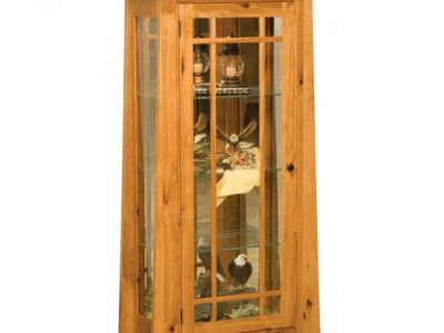 Modesto Curio Cabinet