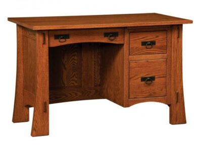 MSD Modesto Student Desk