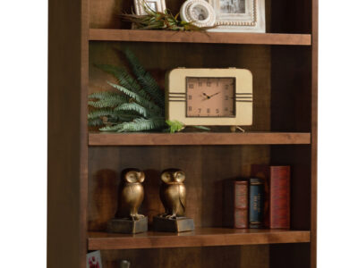 Contemporary Bookcase
